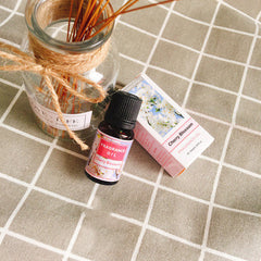 Plant aromatherapy essential oil